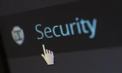 Can You Answer Key Questions In WordPress Development?